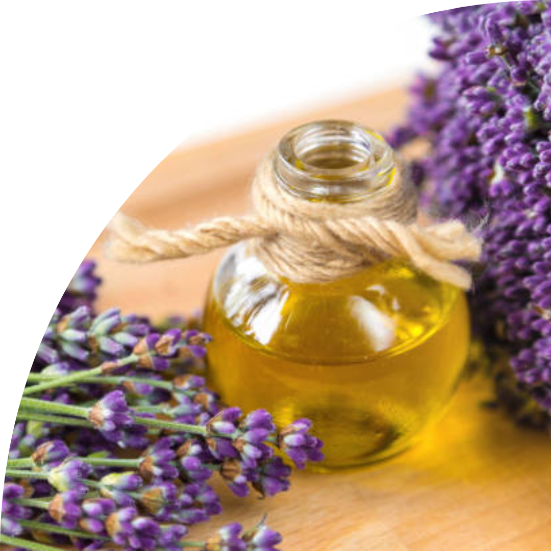 French Lavender 10 ml